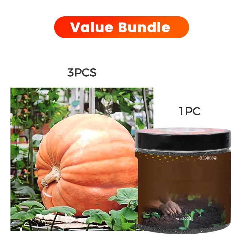 ✨ Reuzenpompoenzaden voor de tuin 🌱