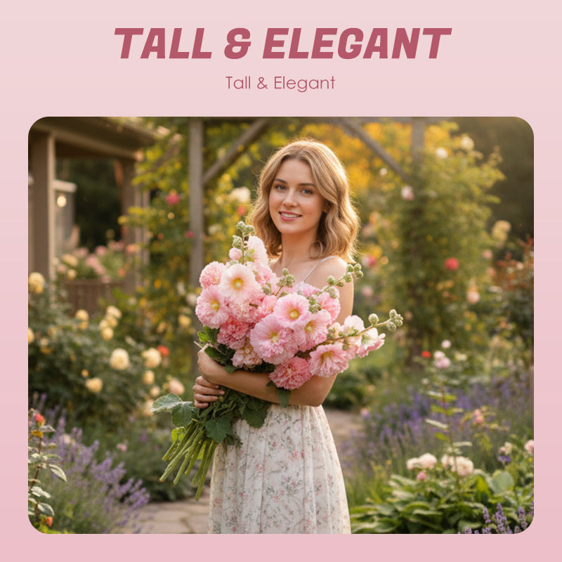 ✨ Zaai stokrooszaadjes🌱 en oogst een muur vol kleurrijke bloemen!🌺