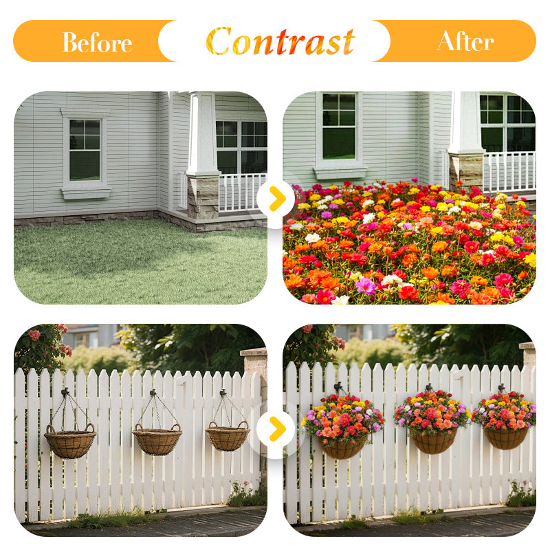 ✨Dubbelbloemige hybride zonnebloempitten🌱