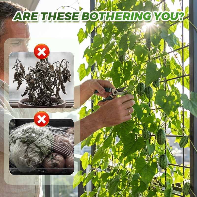 🍉【Mini-watermeloenzaden】— Elke hap barst van het sap! 🤩 Kweek deze saladefavoriet op je balkon! 💫✨