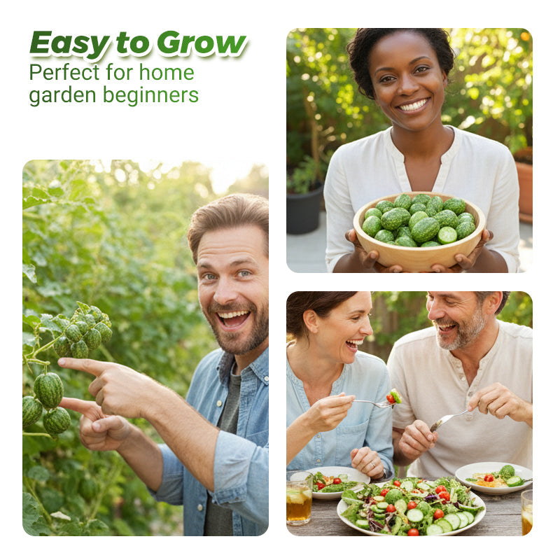 🍉【Mini-watermeloenzaden】— Elke hap barst van het sap! 🤩 Kweek deze saladefavoriet op je balkon! 💫✨