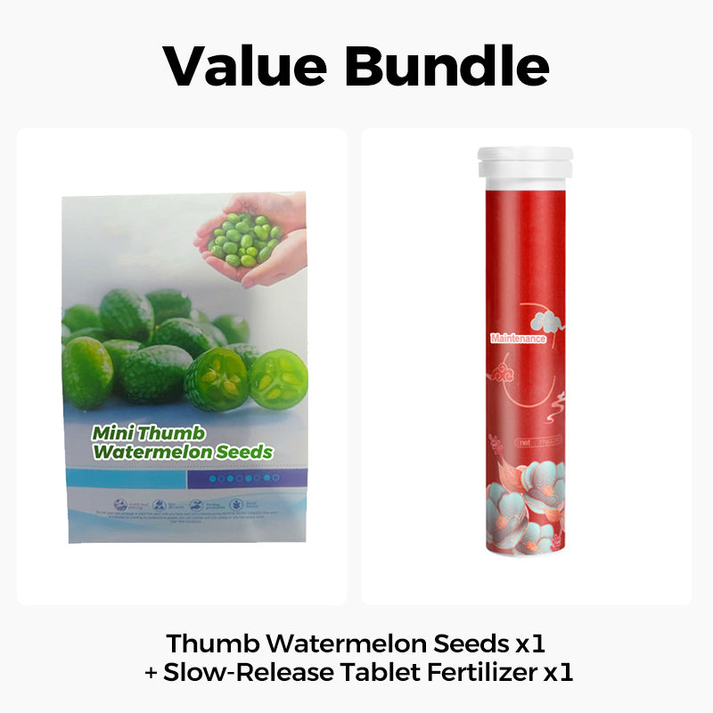 🍉【Mini-watermeloenzaden】— Elke hap barst van het sap! 🤩 Kweek deze saladefavoriet op je balkon! 💫✨