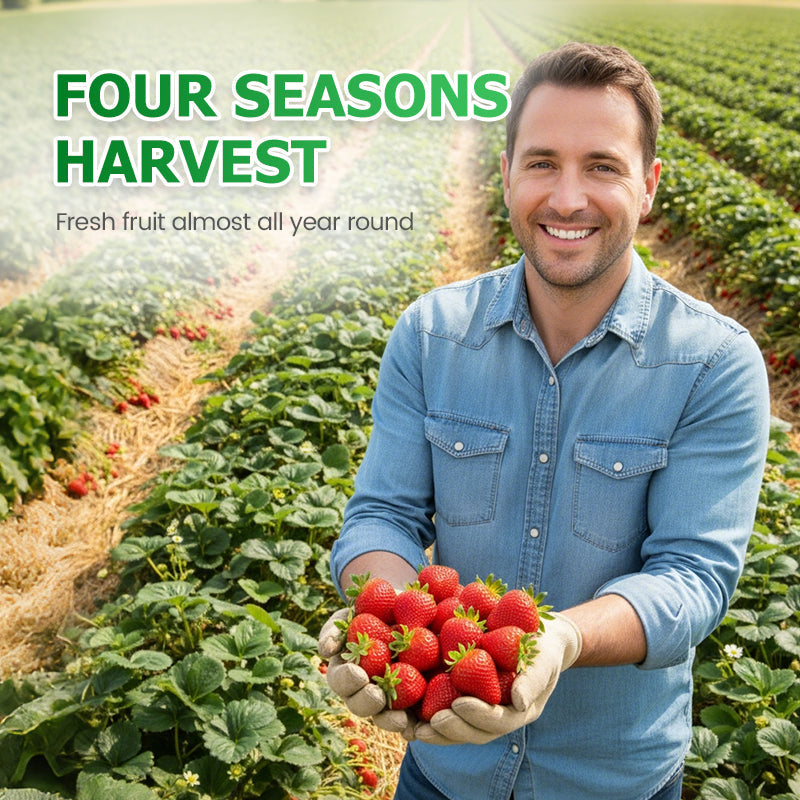 🪴Gemakkelijk te kweken aardbeizaadjes — strooi de zaadjes uit en wacht rustig af tot je een robijnrode oogst hebt!🍓✨