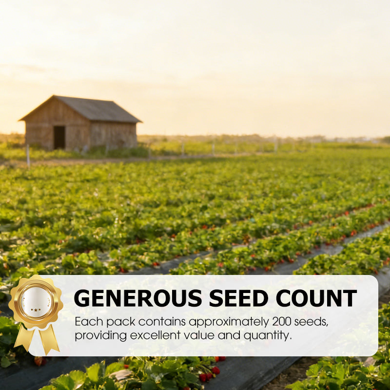 🪴Gemakkelijk te kweken aardbeizaadjes — strooi de zaadjes uit en wacht rustig af tot je een robijnrode oogst hebt!🍓✨