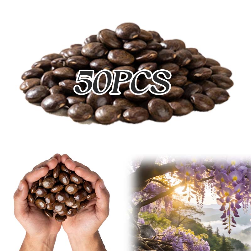 💜【Wisteria Waterfall Seeds】— Kweek je eigen Monet-tuin! 🌿✨