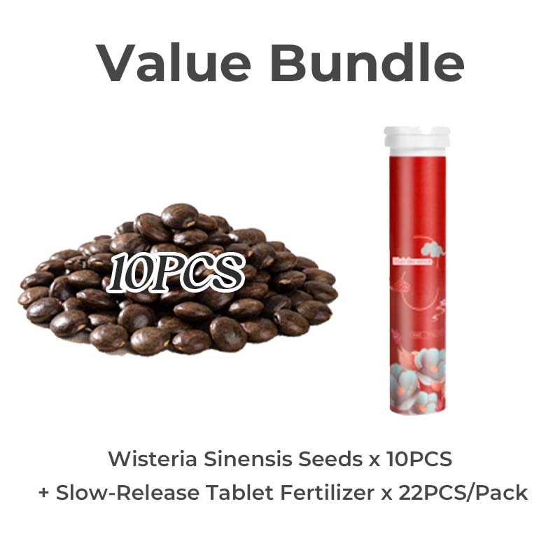💜【Wisteria Waterfall Seeds】— Kweek je eigen Monet-tuin! 🌿✨