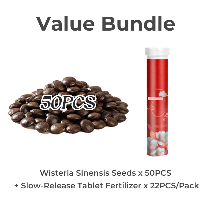 💜【Wisteria Waterfall Seeds】— Kweek je eigen Monet-tuin! 🌿✨