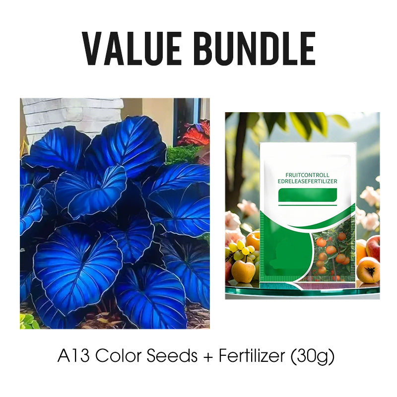 🌷Gigantische tweekleurige calla-leliezaadjes 💫— plant er één en laat het hele kanaal schitteren!✨