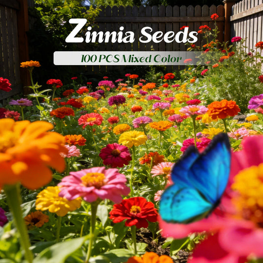 🌈【Gemengde kleuren zinnia-zaden】— Strooi een handvol regenboogzaadjes uit en oogst een hele zomer lang een zee van bloemen! 🌼✨💫
