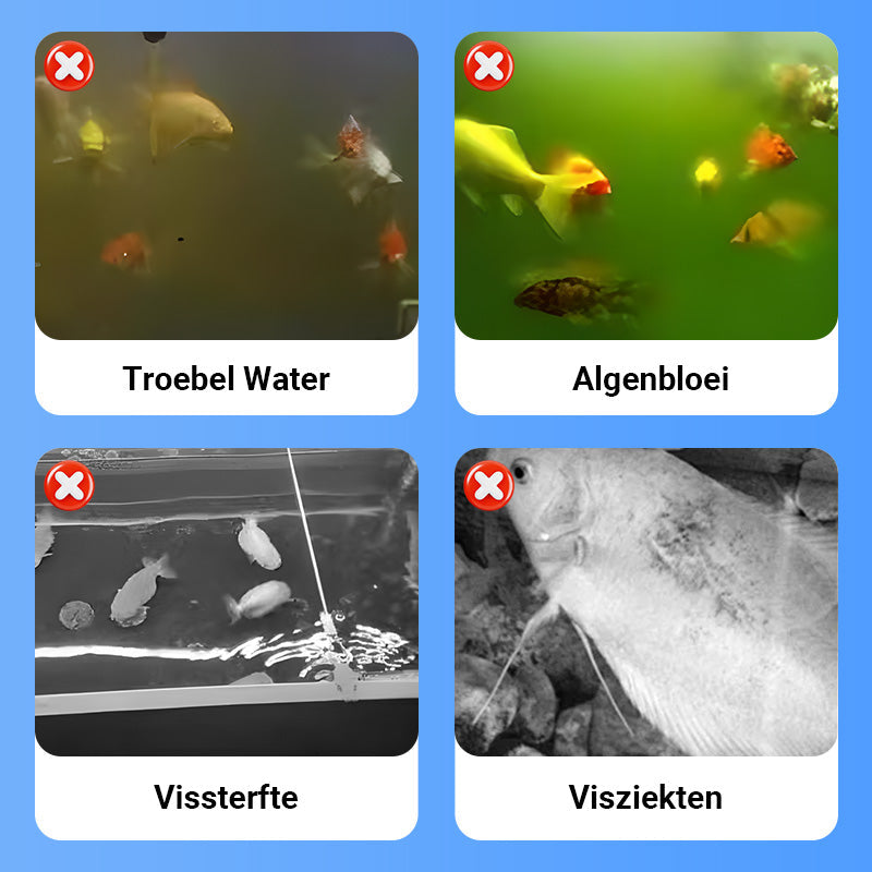 🌊【Aquarium Water Clarifier】— In slechts 3 uur verandert troebel water in kristalhelder water! 🐠✨