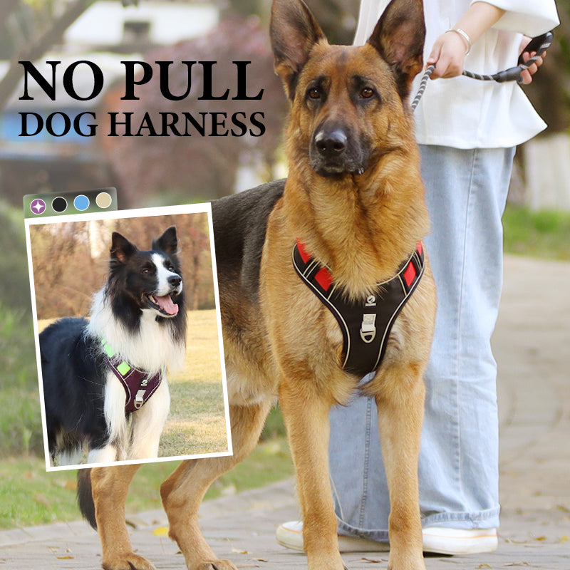 🐶Hondentuig zonder trekkracht met riem en LED-halsband – Veilig en comfortabel ✨