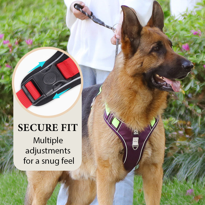 🐶Hondentuig zonder trekkracht met riem en LED-halsband – Veilig en comfortabel ✨