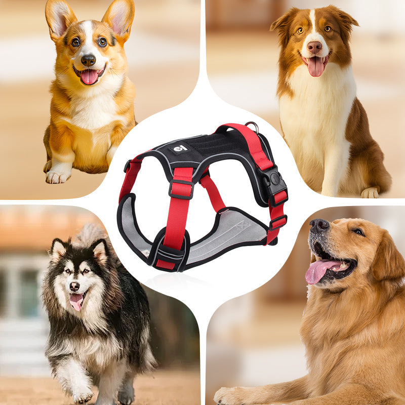 🐶Hondentuig zonder trekkracht met riem en LED-halsband – Veilig en comfortabel ✨