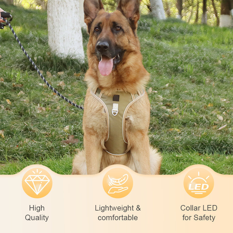 🐶Hondentuig zonder trekkracht met riem en LED-halsband – Veilig en comfortabel ✨
