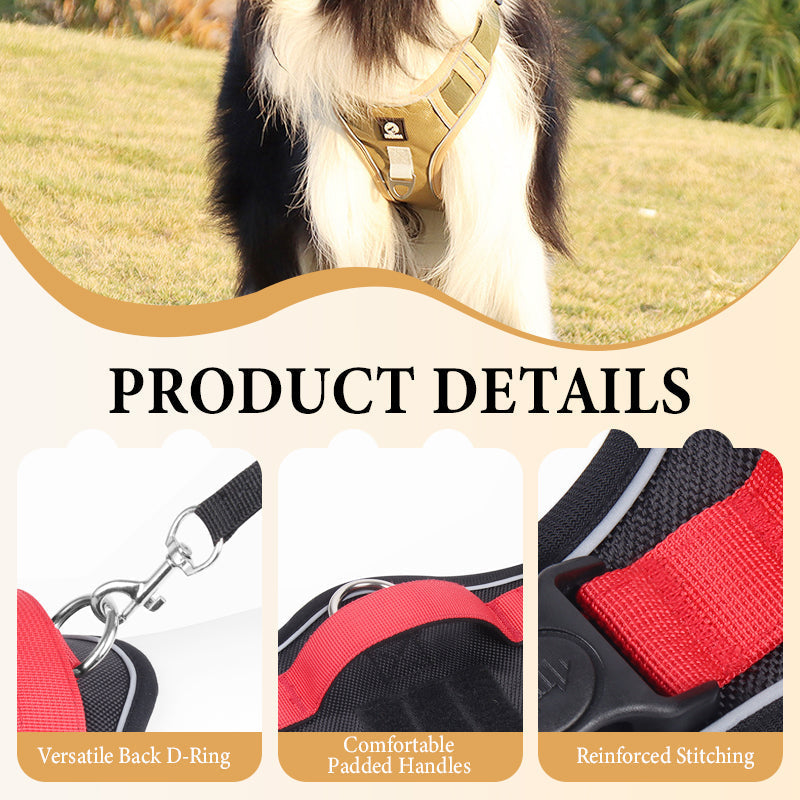 🐶Hondentuig zonder trekkracht met riem en LED-halsband – Veilig en comfortabel ✨
