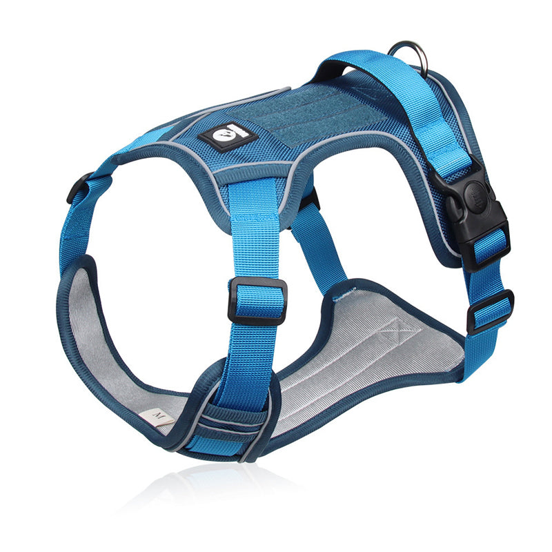 🐶Hondentuig zonder trekkracht met riem en LED-halsband – Veilig en comfortabel ✨