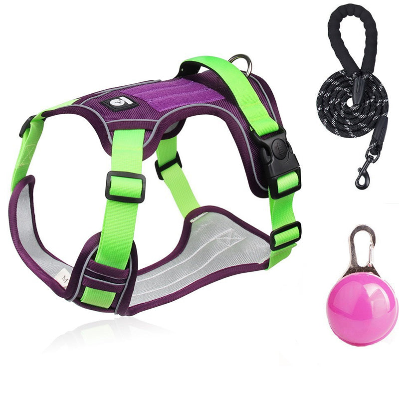 🐶Hondentuig zonder trekkracht met riem en LED-halsband – Veilig en comfortabel ✨