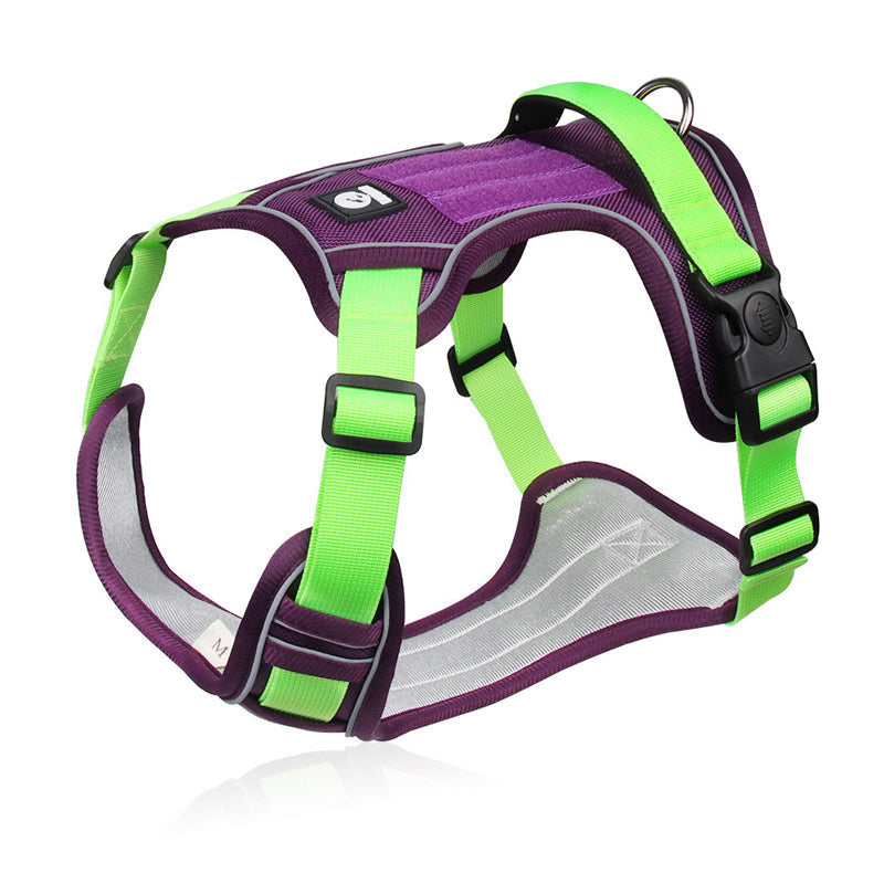 🐶Hondentuig zonder trekkracht met riem en LED-halsband – Veilig en comfortabel ✨