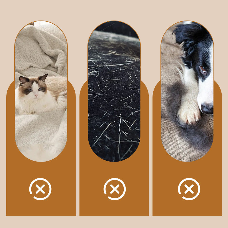 Easy Grip Dierenhaar Verwijderaar & Tapijtschraper